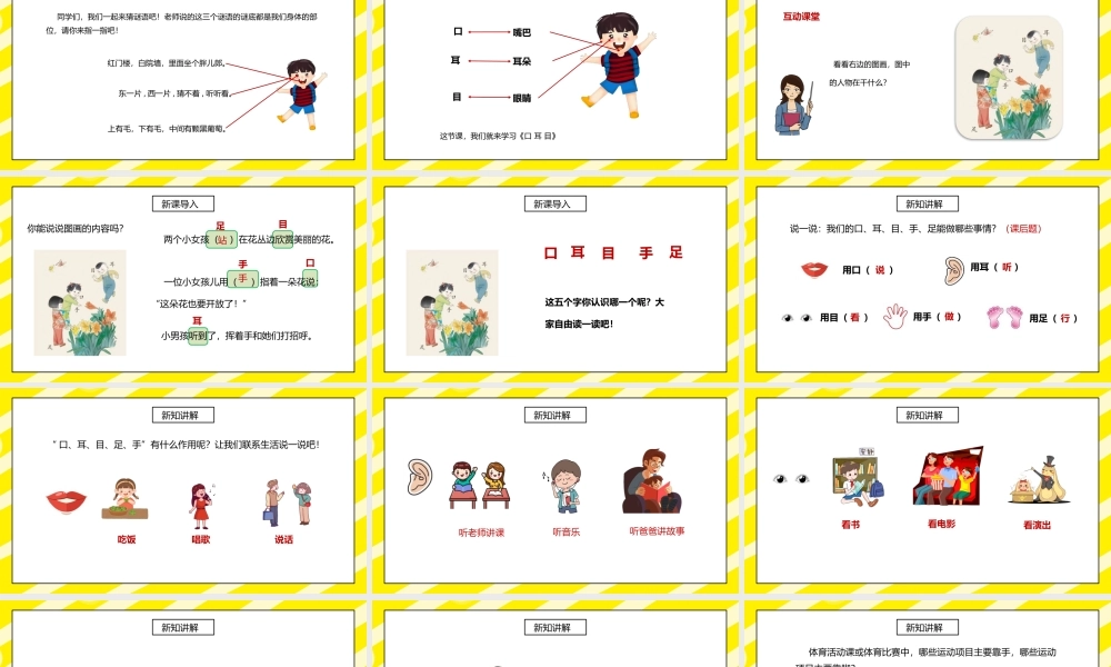 部编版一年级语文上册识字1口耳目第一课时PPT课件.pptx