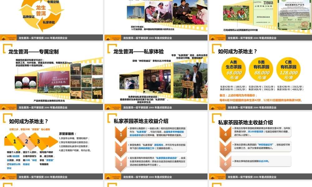 龙生私家茶园路演方案.pptx