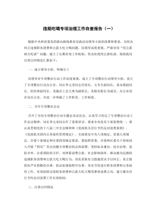违规吃喝专项治理工作自查报告（一）.docx