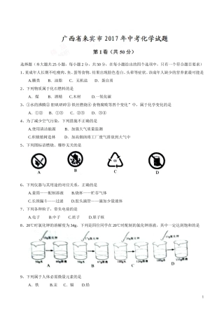 广西 来宾 2017年中考化学试题.doc