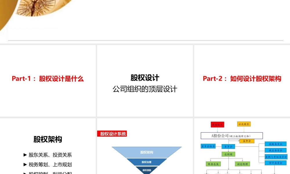 股权设计培训资料.pptx