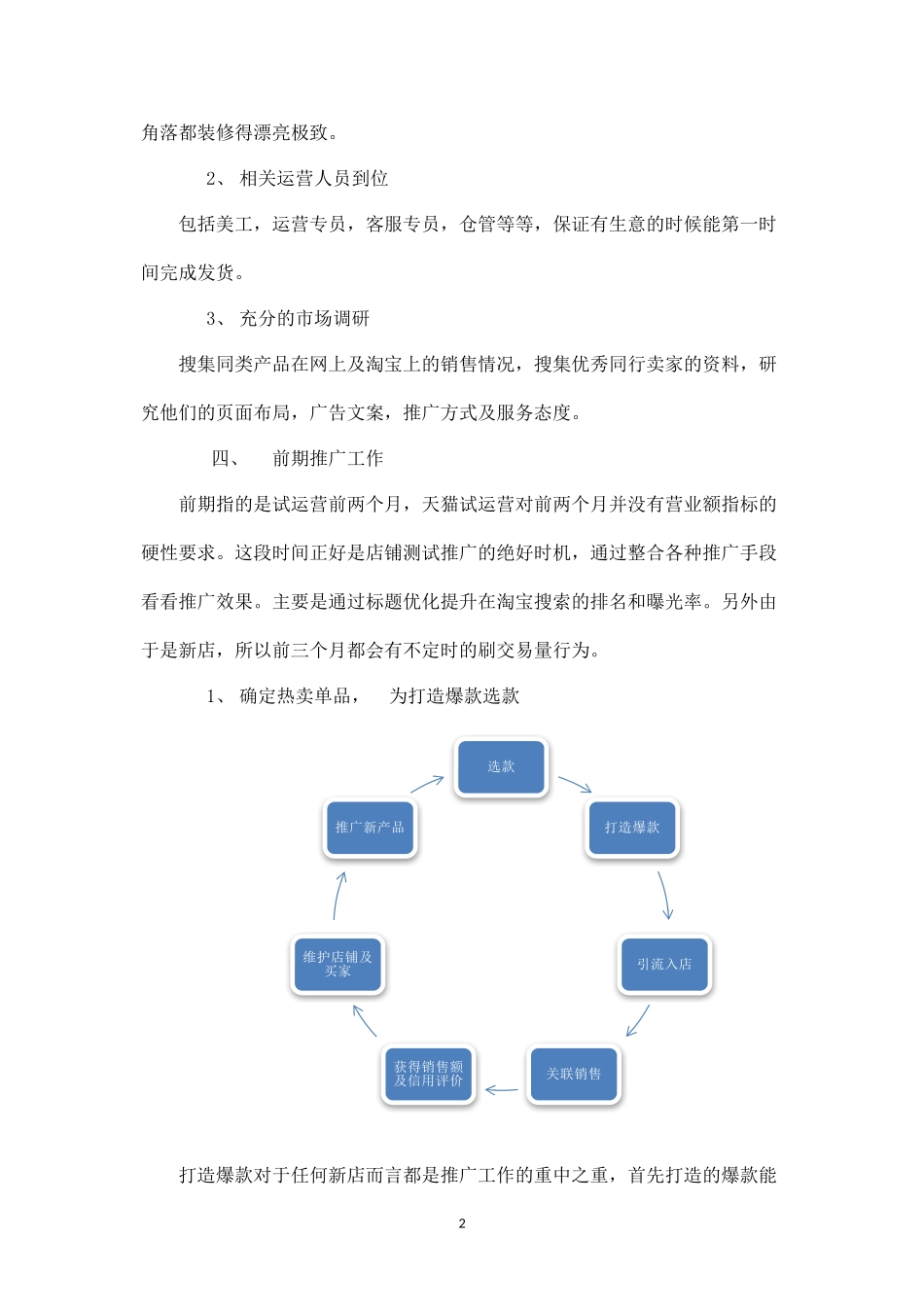 运动品牌天猫商城试运营推广方案.docx_第2页
