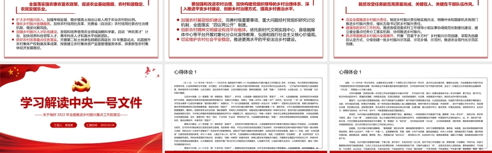 学习解读中央一号文件关于做好2022年全面推进乡村振兴重点工作的意见PPT课件（带内容）.ppt