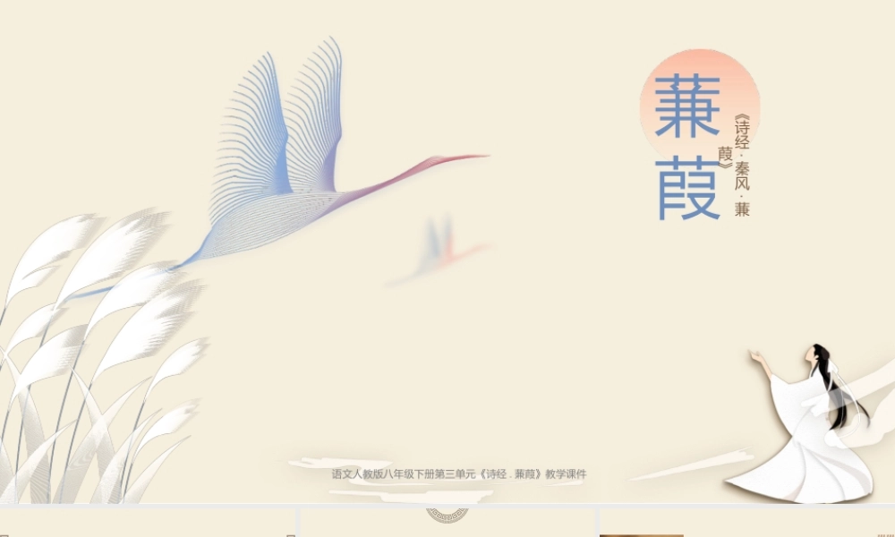 语文人教版八年级下册《诗经蒹葭》教学课件.pptx