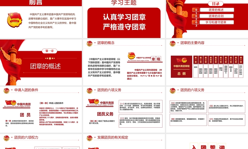 中国共青团团章学习解读PPT课件（带内容）.pptx