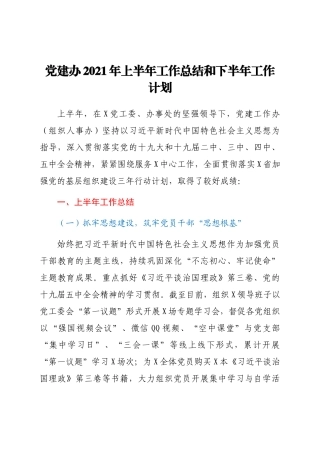好公文推荐-党建办上半年工作总结和下半年工作计划.docx