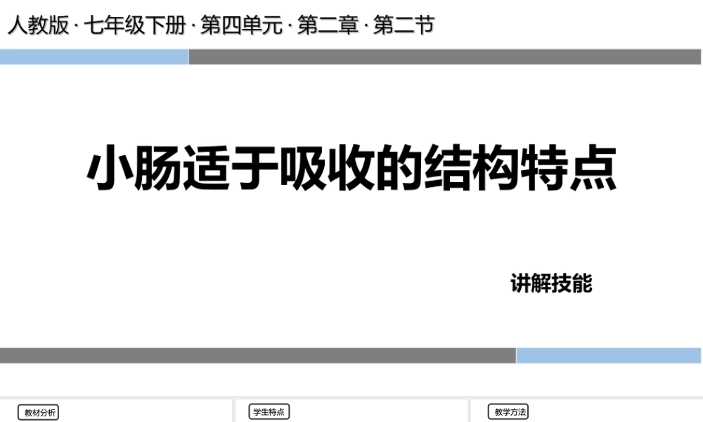 小肠适于吸收的结构特点.ppt