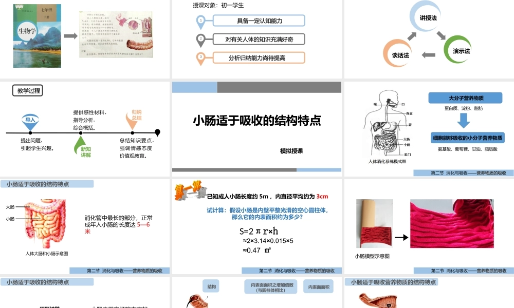 小肠适于吸收的结构特点.ppt