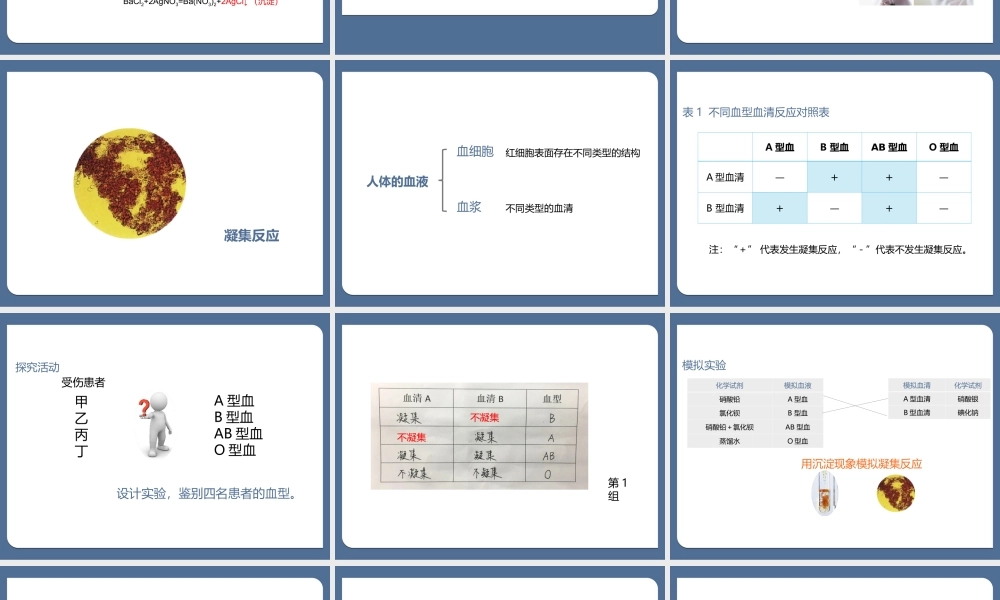 人的ABO血型及其鉴定 比赛课件.ppt