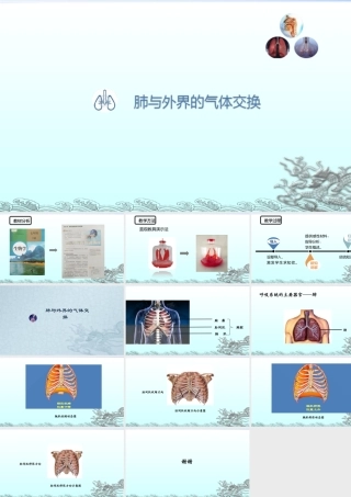 肺与外界的气体交换 参赛课件.ppt