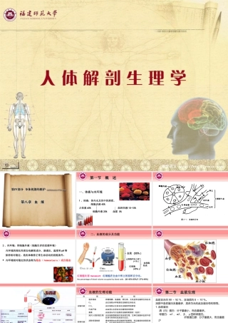 人体解剖生理学 第八章血液.ppt
