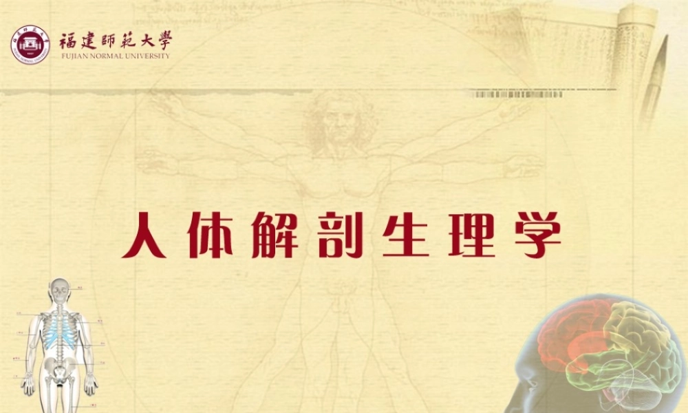 人体解剖生理学 第九章呼吸系统A(S).ppt