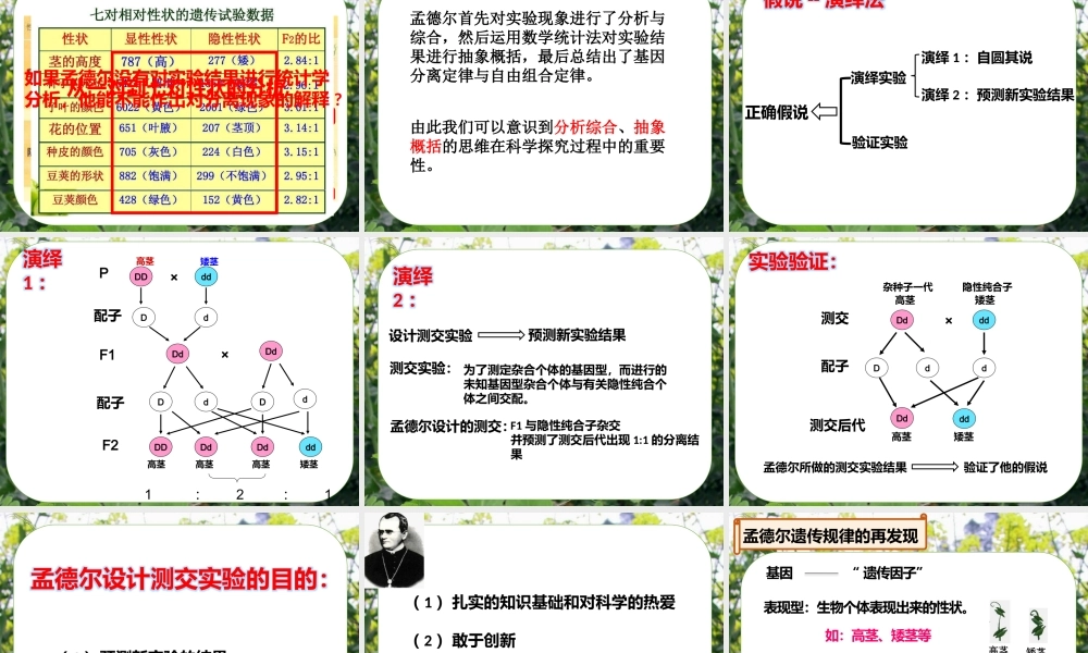 课件 孟德尔杂交实验（四）.pptx