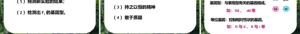 课件 孟德尔杂交实验（四）.pptx