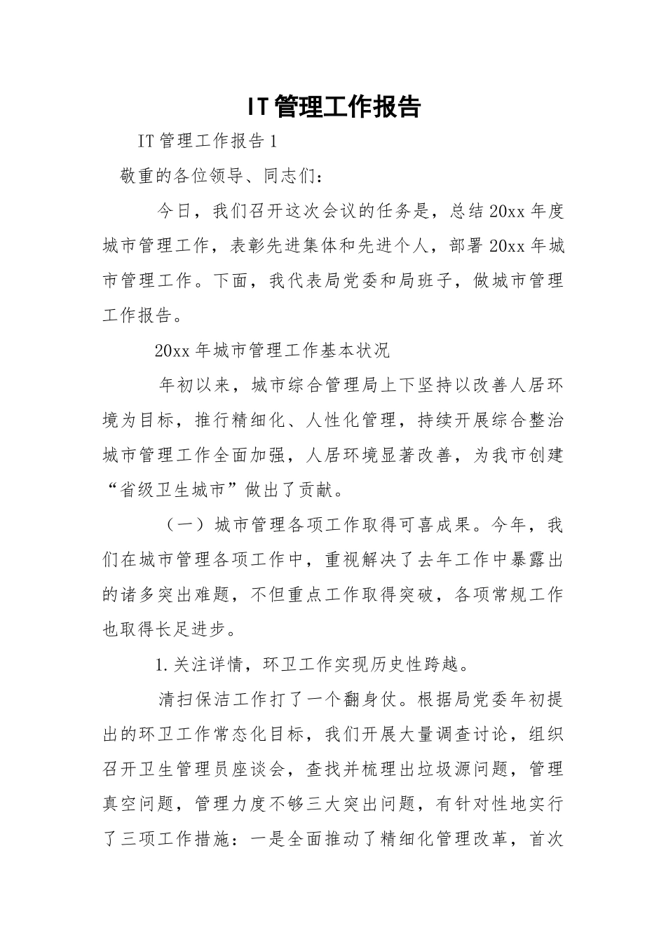 IT管理工作报告.docx_第1页