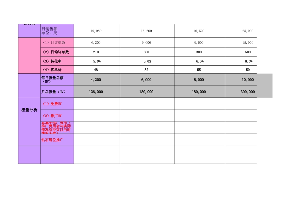 电商 年运营计划表格.xls_第2页