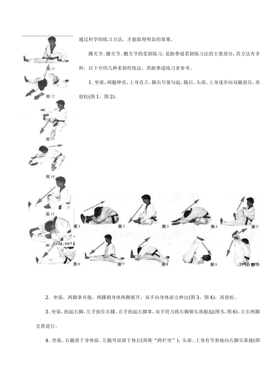 跆拳道柔韧性练习指南.doc_第2页