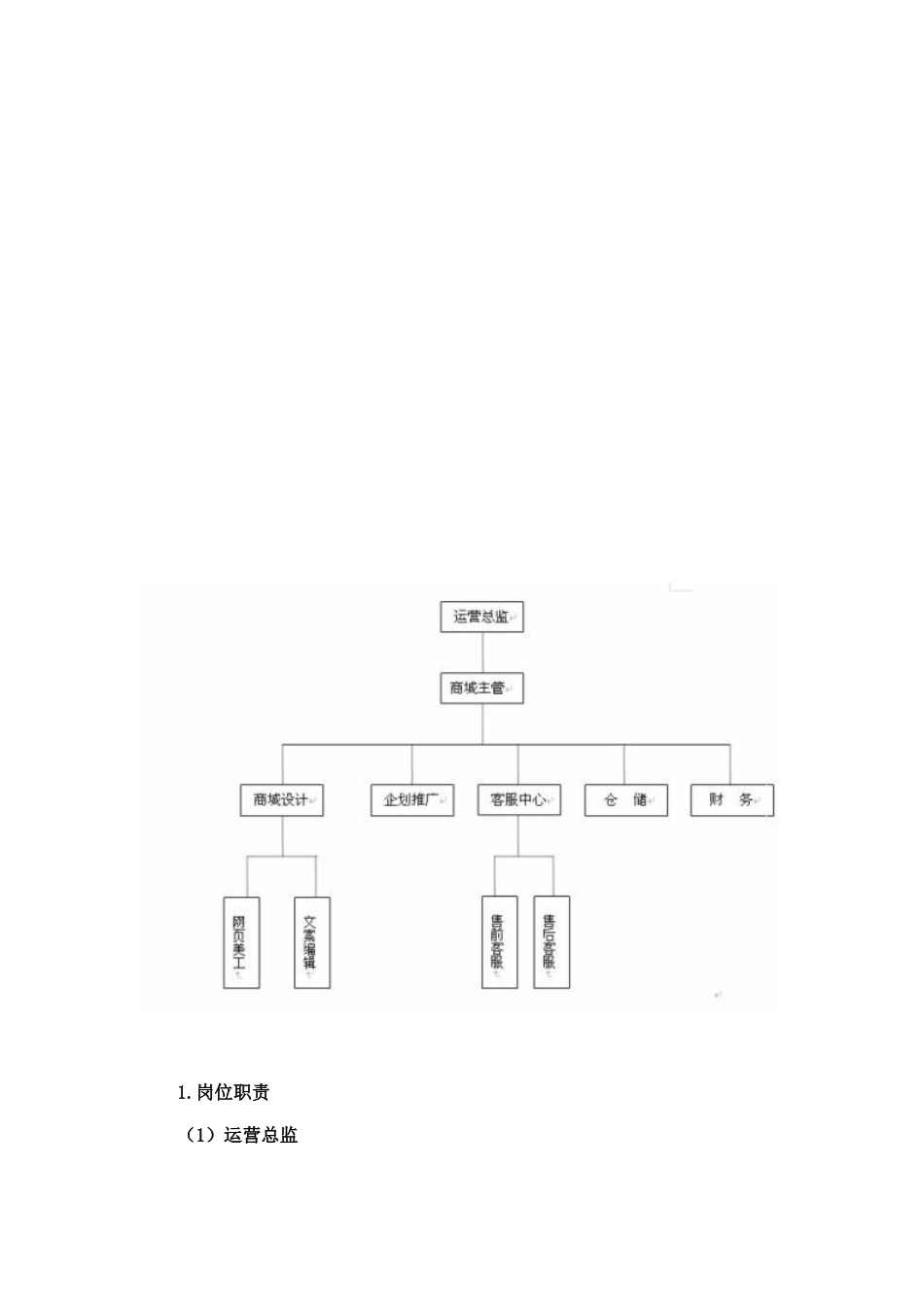 【运营方案】天猫运营计划书.doc_第3页