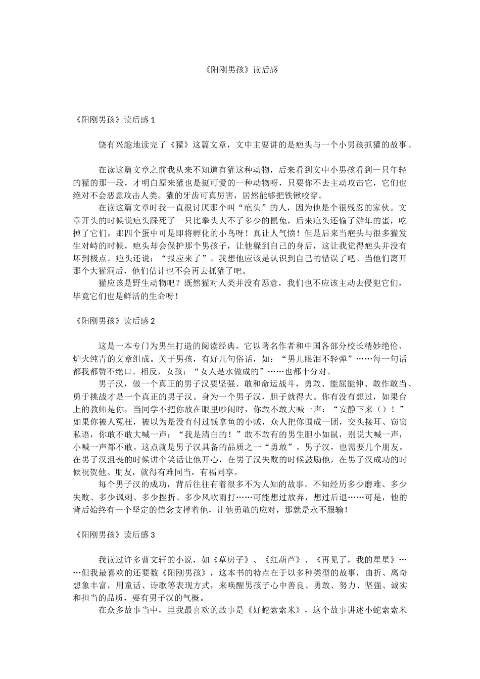 《阳刚男孩》读后感.docx_第1页