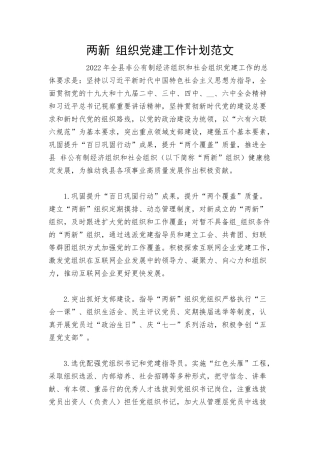 两新 组织党建工作计划范文.docx