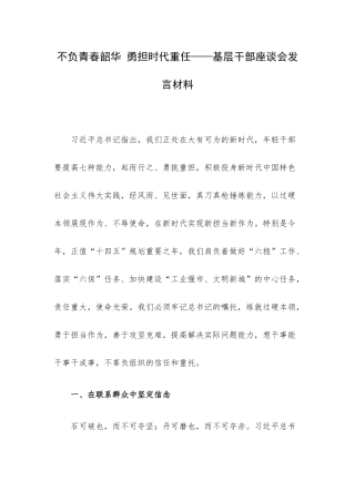 不负青春韶华 勇担时代重任——基层干部座谈会发言材料.docx