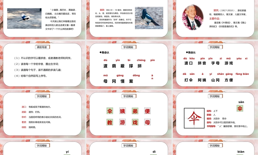部编版二年级语文下册第四单元课文《枫树上的喜鹊》PPT课件.pptx