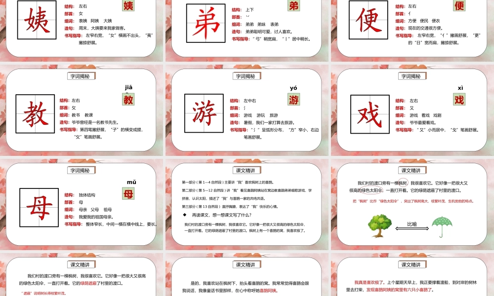 部编版二年级语文下册第四单元课文《枫树上的喜鹊》PPT课件.pptx