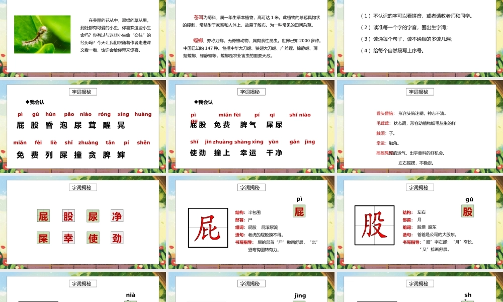 部编版二年级语文下册第四单元课文《我是一只小虫子》PPT课件.pptx