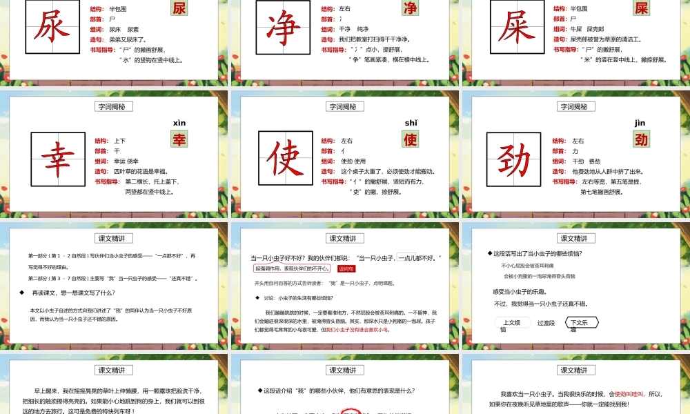 部编版二年级语文下册第四单元课文《我是一只小虫子》PPT课件.pptx