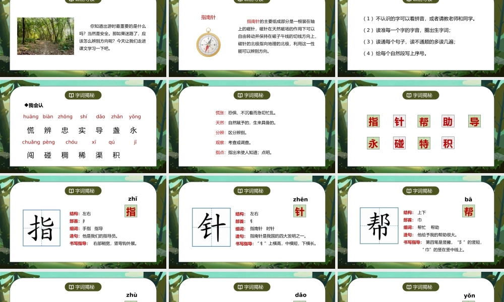 部编版二年级语文下册第六单元课文《要是你在野外迷了路》PPT课件.pptx