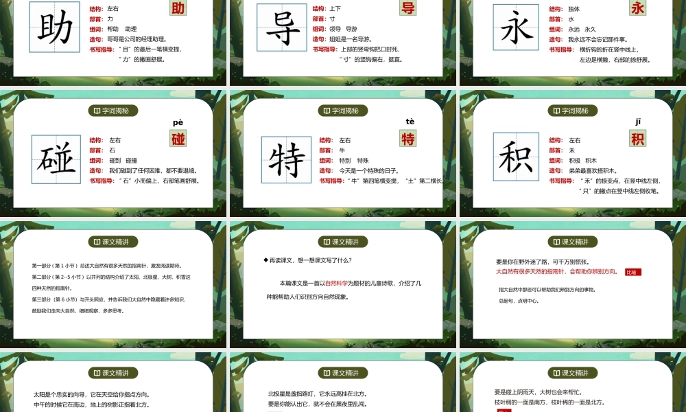 部编版二年级语文下册第六单元课文《要是你在野外迷了路》PPT课件.pptx
