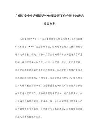 在煤矿安全生产煤炭产业转型发展工作会议上的表态发言材料.docx