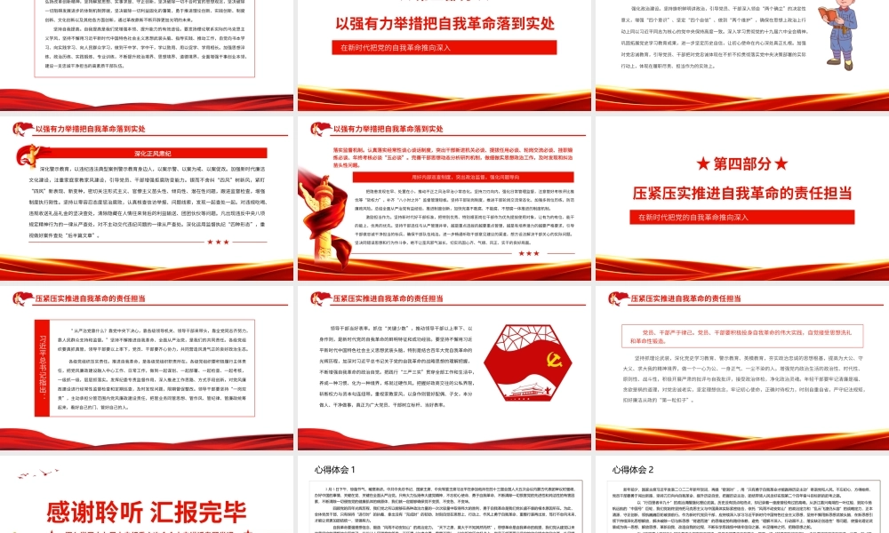 深入学习十九届中央纪委六次全会中央讲话专题党课在新时代把党的自我革命推向深入PPT课件（带内容）.ppt