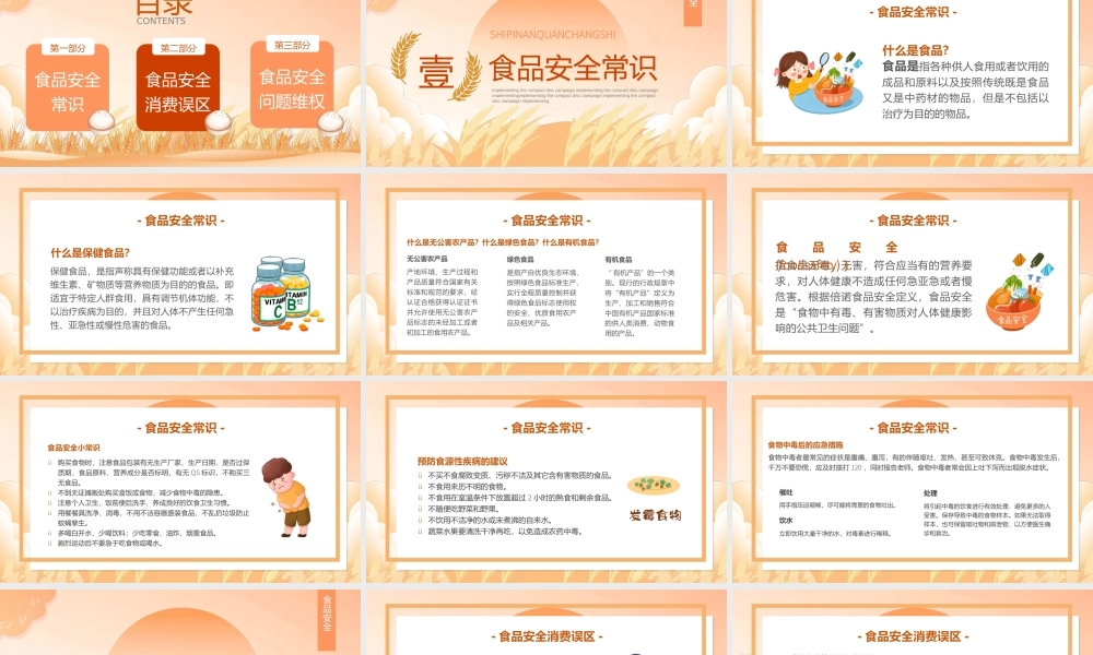 橙色卡通风关注食品安全PPT动态模板.pptx