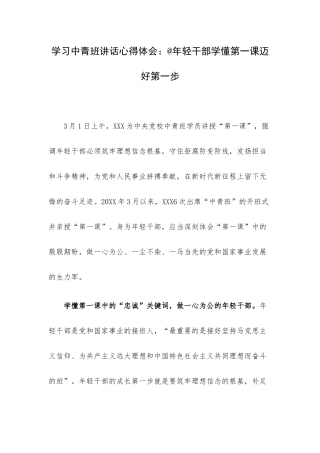 学习中青班讲话心得体会：@年轻干部学懂第一课迈好第一步.docx