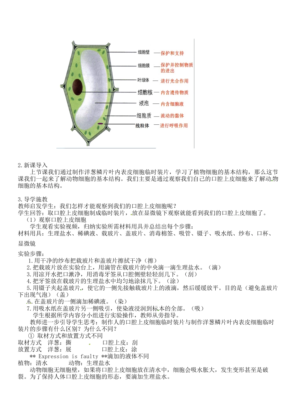 动物细胞 教学案例（师傅）.docx_第2页