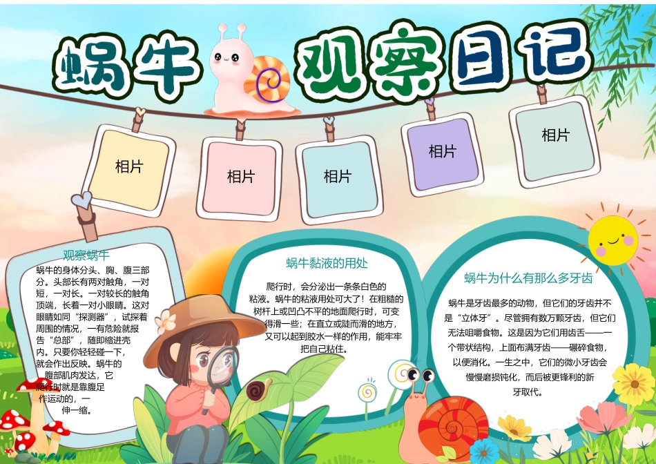 蜗牛观察日记手抄报小报.docx_第2页
