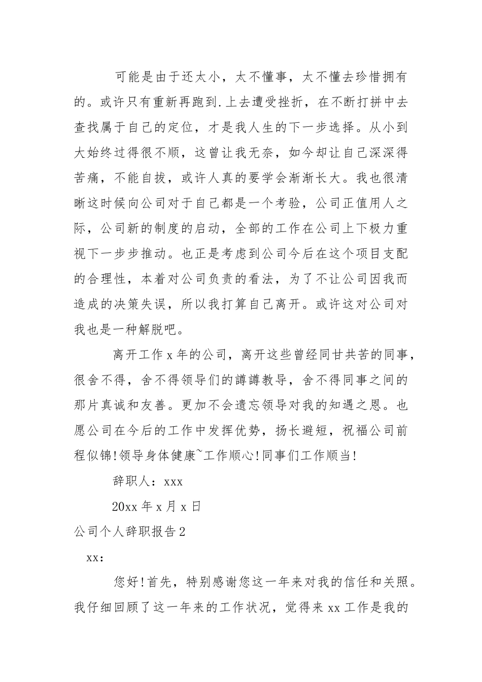 公司个人辞职报告_1.docx（19页）_第2页
