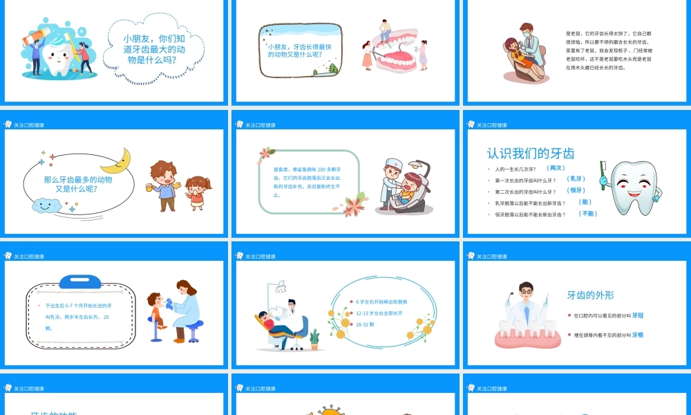 关注口腔健康小学生口腔卫生保健知识讲座PPT课件（带内容）.ppt