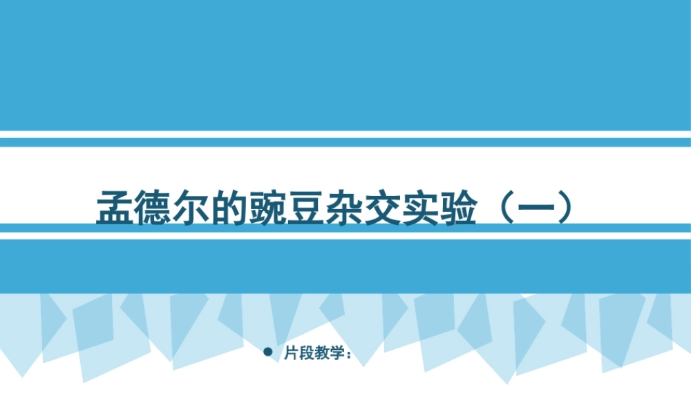 课件 孟德尔的豌豆杂交实验(一).pptx