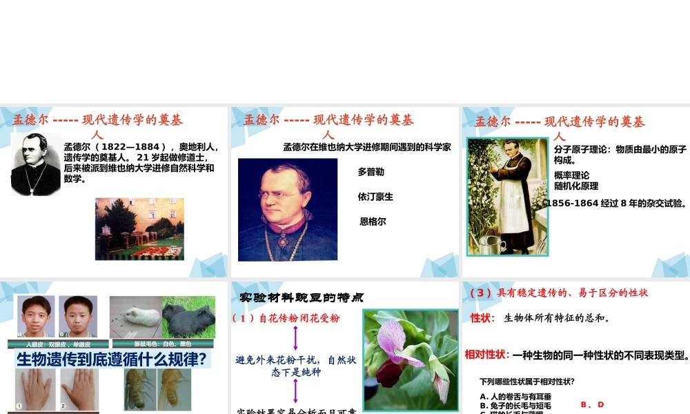 课件 孟德尔的豌豆杂交实验(一).pptx