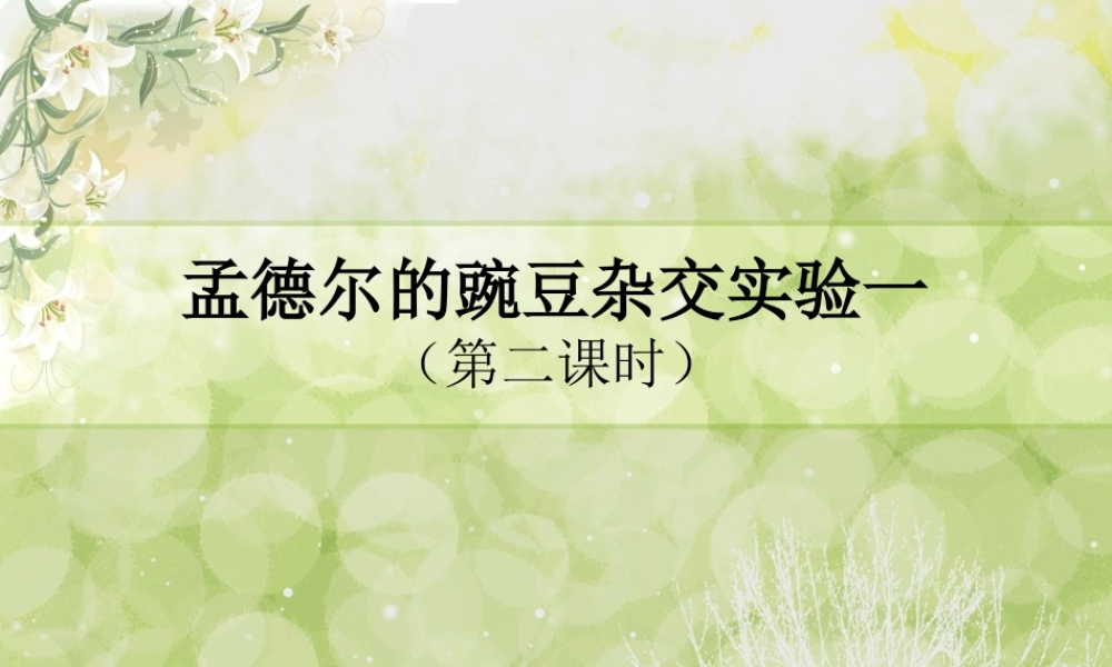 孟德尔的豌豆杂交实验第二课时.pptx