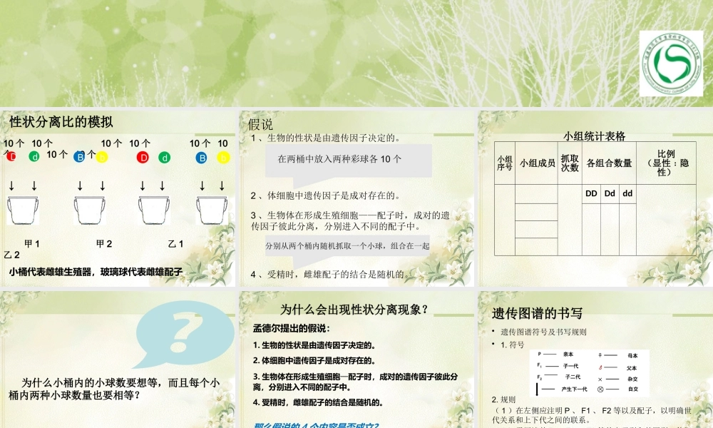 孟德尔的豌豆杂交实验第二课时.pptx