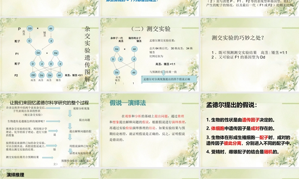 孟德尔的豌豆杂交实验第二课时.pptx
