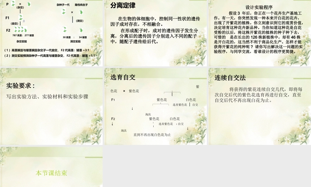孟德尔的豌豆杂交实验第二课时.pptx