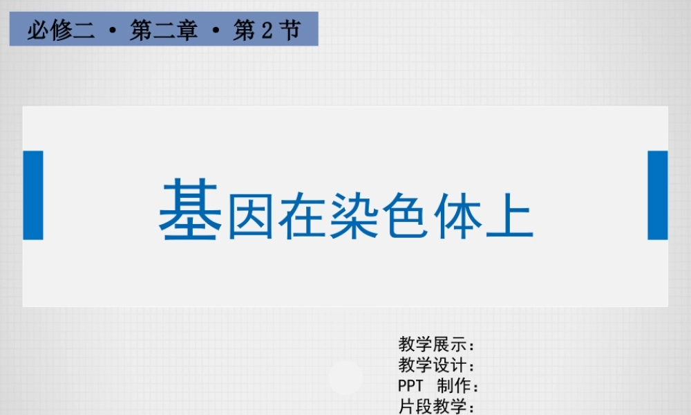 基因在染色体上（教学PPT）.pptx