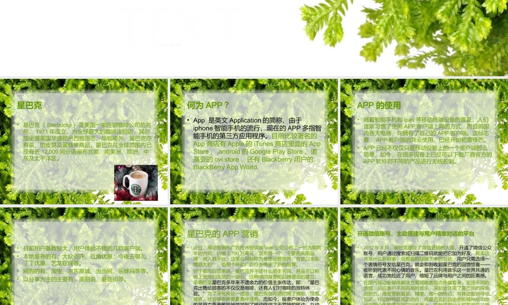 星8克APP营销案例.ppt