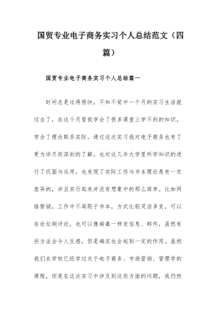 国贸专业电子商务实习个人总结范文（四篇）.docx