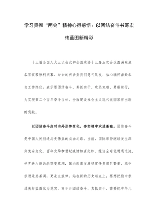 学习贯彻“两会”精神心得感悟：以团结奋斗书写宏伟蓝图新精彩.docx