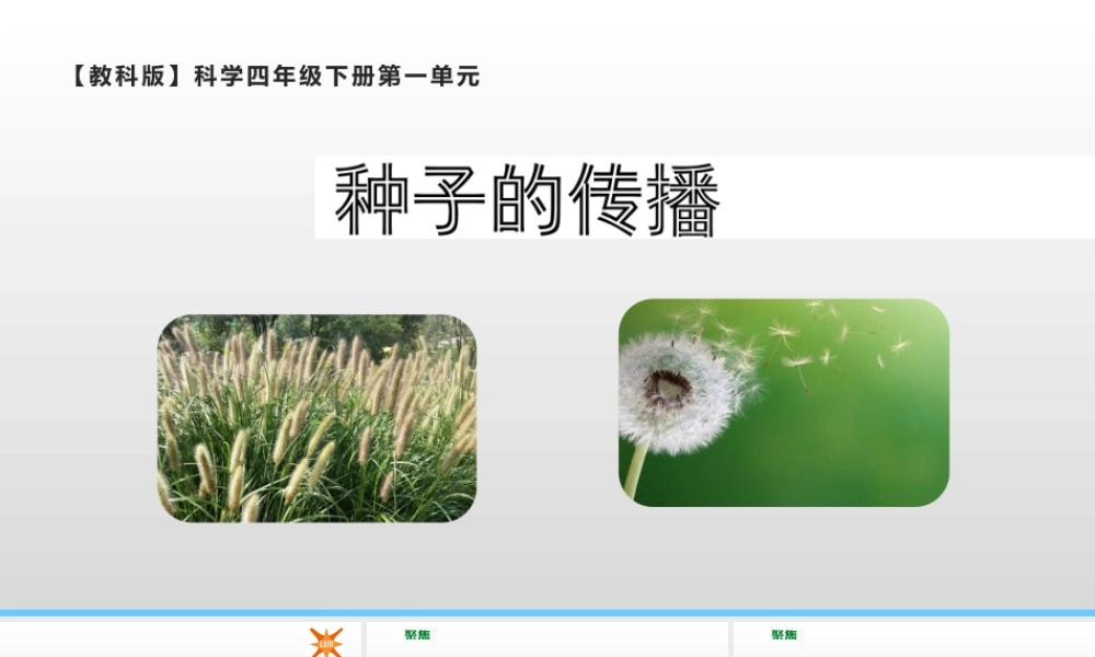 2022年教科版小学四年级下册《科学》第一单元植物的生长变化第7课时种了的传播课件.pptx